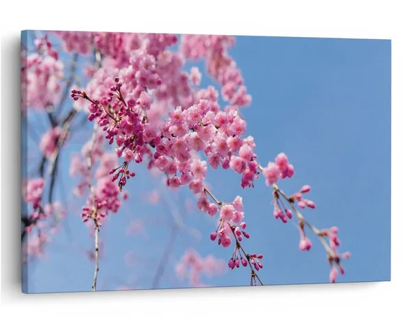 Multicolor_16_X_24_Inch,_Pine_Wood_Framed_Canvas_Paintings_|_For_Home_Decor,_Ready_To_Wall_Hanging,_Premium_Painting_|_For_|_Bedroom,_Living_Room,_Office_Wall_Decoration_|_Wall_Art_Painting,_Ct1851