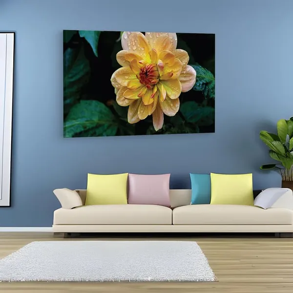 Multicolor_16_X_24_Inch,_Pine_Wood_Framed_Canvas_Paintings_|_For_Home_Decor,_Ready_To_Wall_Hanging,_Premium_Painting_|_For_|_Bedroom,_Living_Room,_Office_Wall_Decoration_|_Wall_Art_Painting,_Ct1853