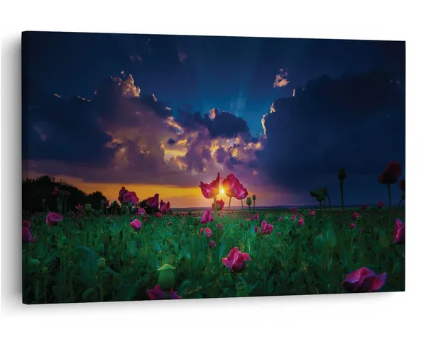 Multicolor_16_X_24_Inch,_Pine_Wood_Framed_Canvas_Paintings_|_For_Home_Decor,_Ready_To_Wall_Hanging,_Premium_Painting_|_For_|_Bedroom,_Living_Room,_Office_Wall_Decoration_|_Wall_Art_Painting,_Ct1854
