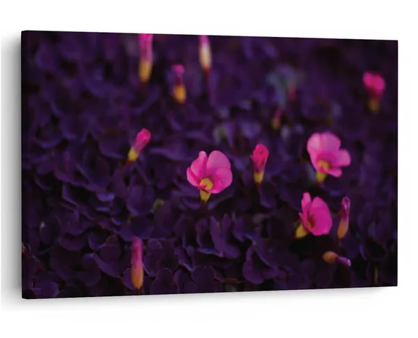 Multicolor_16_X_24_Inch,_Pine_Wood_Framed_Canvas_Paintings_|_For_Home_Decor,_Ready_To_Wall_Hanging,_Premium_Painting_|_For_|_Bedroom,_Living_Room,_Office_Wall_Decoration_|_Wall_Art_Painting,_Ct1857