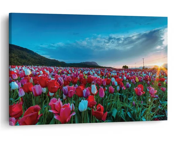 Multicolor_16_X_24_Inch,_Pine_Wood_Framed_Canvas_Paintings_|_For_Home_Decor,_Ready_To_Wall_Hanging,_Premium_Painting_|_For_|_Bedroom,_Living_Room,_Office_Wall_Decoration_|_Wall_Art_Painting,_Ct1860