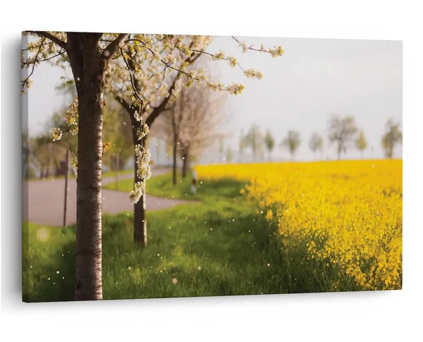 Multicolor_16_X_24_Inch,_Pine_Wood_Framed_Canvas_Paintings_|_For_Home_Decor,_Ready_To_Wall_Hanging,_Premium_Painting_|_For_|_Bedroom,_Living_Room,_Office_Wall_Decoration_|_Wall_Art_Painting,_Ct1862