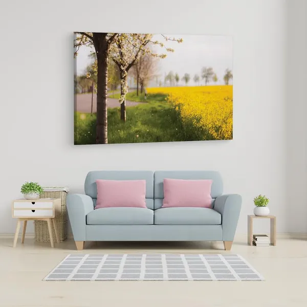Multicolor_16_X_24_Inch,_Pine_Wood_Framed_Canvas_Paintings_|_For_Home_Decor,_Ready_To_Wall_Hanging,_Premium_Painting_|_For_|_Bedroom,_Living_Room,_Office_Wall_Decoration_|_Wall_Art_Painting,_Ct1862