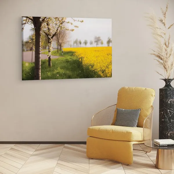 Multicolor_16_X_24_Inch,_Pine_Wood_Framed_Canvas_Paintings_|_For_Home_Decor,_Ready_To_Wall_Hanging,_Premium_Painting_|_For_|_Bedroom,_Living_Room,_Office_Wall_Decoration_|_Wall_Art_Painting,_Ct1862