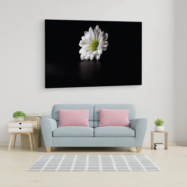 Multicolor_16_X_24_Inch,_Pine_Wood_Framed_Canvas_Paintings_|_For_Home_Decor,_Ready_To_Wall_Hanging,_Premium_Painting_|_For_|_Bedroom,_Living_Room,_Office_Wall_Decoration_|_Wall_Art_Painting,_Ct1866
