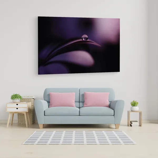 Multicolor_16_X_24_Inch,_Pine_Wood_Framed_Canvas_Paintings_|_For_Home_Decor,_Ready_To_Wall_Hanging,_Premium_Painting_|_For_|_Bedroom,_Living_Room,_Office_Wall_Decoration_|_Wall_Art_Painting,_Ct1868