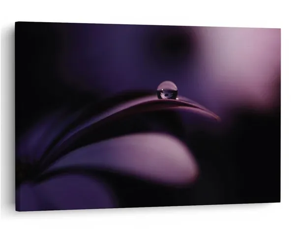 Multicolor_16_X_24_Inch,_Pine_Wood_Framed_Canvas_Paintings_|_For_Home_Decor,_Ready_To_Wall_Hanging,_Premium_Painting_|_For_|_Bedroom,_Living_Room,_Office_Wall_Decoration_|_Wall_Art_Painting,_Ct1868