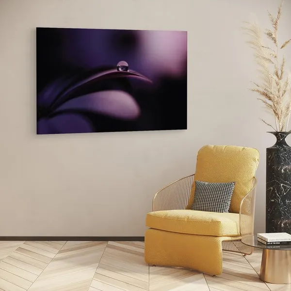 Multicolor_16_X_24_Inch,_Pine_Wood_Framed_Canvas_Paintings_|_For_Home_Decor,_Ready_To_Wall_Hanging,_Premium_Painting_|_For_|_Bedroom,_Living_Room,_Office_Wall_Decoration_|_Wall_Art_Painting,_Ct1868