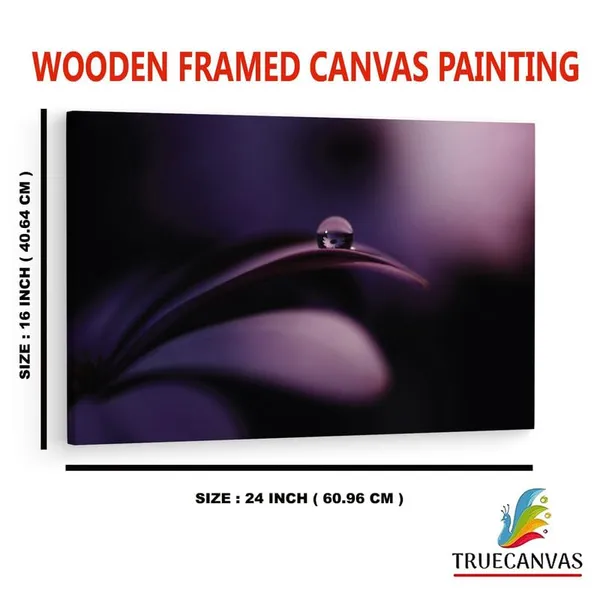 Multicolor_16_X_24_Inch,_Pine_Wood_Framed_Canvas_Paintings_|_For_Home_Decor,_Ready_To_Wall_Hanging,_Premium_Painting_|_For_|_Bedroom,_Living_Room,_Office_Wall_Decoration_|_Wall_Art_Painting,_Ct1868