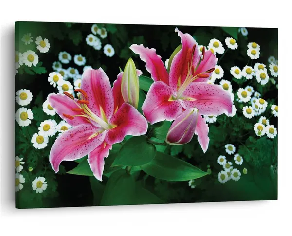 Multicolor_16_X_24_Inch,_Pine_Wood_Framed_Canvas_Paintings_|_For_Home_Decor,_Ready_To_Wall_Hanging,_Premium_Painting_|_For_|_Bedroom,_Living_Room,_Office_Wall_Decoration_|_Wall_Art_Painting,_Ct1869