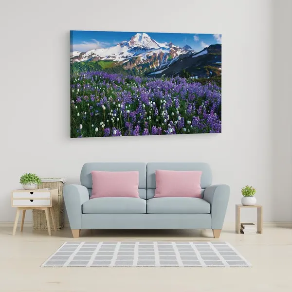 Multicolor_16_X_24_Inch,_Pine_Wood_Framed_Canvas_Paintings_|_For_Home_Decor,_Ready_To_Wall_Hanging,_Premium_Painting_|_For_|_Bedroom,_Living_Room,_Office_Wall_Decoration_|_Wall_Art_Painting,_Ct1878