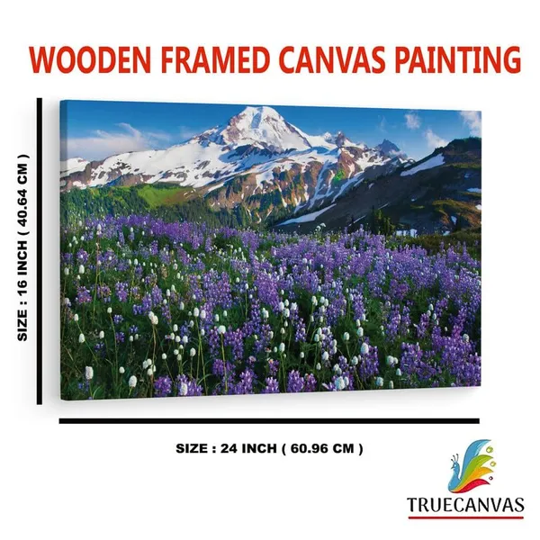 Multicolor_16_X_24_Inch,_Pine_Wood_Framed_Canvas_Paintings_|_For_Home_Decor,_Ready_To_Wall_Hanging,_Premium_Painting_|_For_|_Bedroom,_Living_Room,_Office_Wall_Decoration_|_Wall_Art_Painting,_Ct1878
