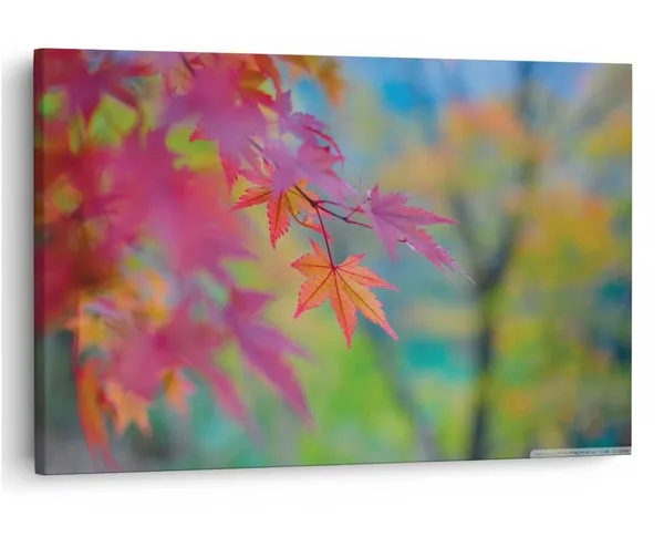 Multicolor_16_X_24_Inch,_Pine_Wood_Framed_Canvas_Paintings_|_For_Home_Decor,_Ready_To_Wall_Hanging,_Premium_Painting_|_For_|_Bedroom,_Living_Room,_Office_Wall_Decoration_|_Wall_Art_Painting,_Ct1887