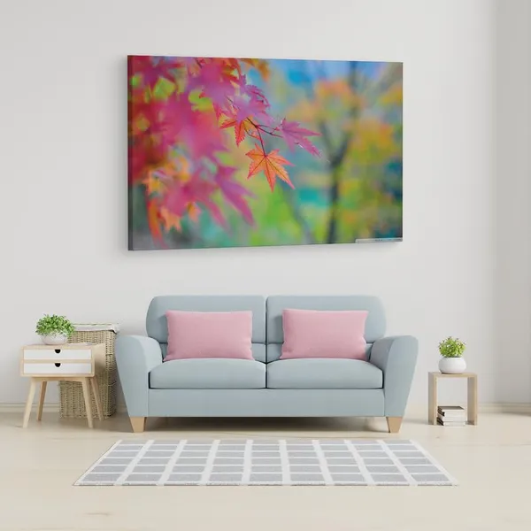 Multicolor_16_X_24_Inch,_Pine_Wood_Framed_Canvas_Paintings_|_For_Home_Decor,_Ready_To_Wall_Hanging,_Premium_Painting_|_For_|_Bedroom,_Living_Room,_Office_Wall_Decoration_|_Wall_Art_Painting,_Ct1887