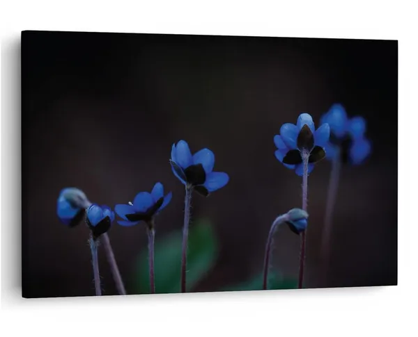 Multicolor_16_X_24_Inch,_Pine_Wood_Framed_Canvas_Paintings_|_For_Home_Decor,_Ready_To_Wall_Hanging,_Premium_Painting_|_For_|_Bedroom,_Living_Room,_Office_Wall_Decoration_|_Wall_Art_Painting,_Ct1889