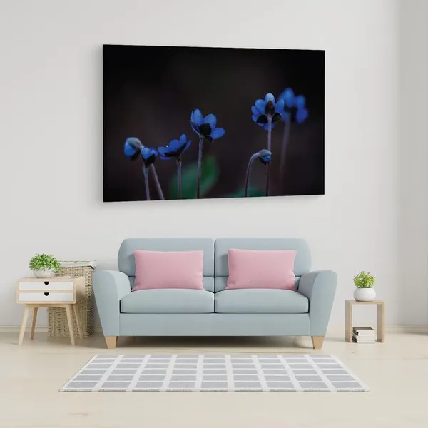 Multicolor_16_X_24_Inch,_Pine_Wood_Framed_Canvas_Paintings_|_For_Home_Decor,_Ready_To_Wall_Hanging,_Premium_Painting_|_For_|_Bedroom,_Living_Room,_Office_Wall_Decoration_|_Wall_Art_Painting,_Ct1889