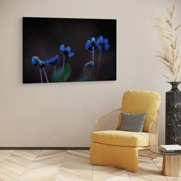 Multicolor_16_X_24_Inch,_Pine_Wood_Framed_Canvas_Paintings_|_For_Home_Decor,_Ready_To_Wall_Hanging,_Premium_Painting_|_For_|_Bedroom,_Living_Room,_Office_Wall_Decoration_|_Wall_Art_Painting,_Ct1889