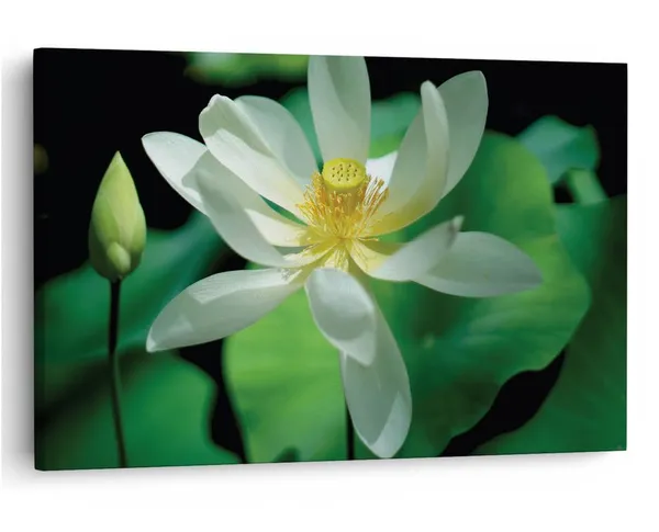 Multicolor_16_X_24_Inch,_Pine_Wood_Framed_Canvas_Paintings_|_For_Home_Decor,_Ready_To_Wall_Hanging,_Premium_Painting_|_For_|_Bedroom,_Living_Room,_Office_Wall_Decoration_|_Wall_Art_Painting,_Ct1897