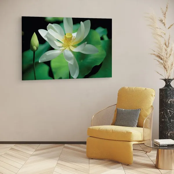Multicolor_16_X_24_Inch,_Pine_Wood_Framed_Canvas_Paintings_|_For_Home_Decor,_Ready_To_Wall_Hanging,_Premium_Painting_|_For_|_Bedroom,_Living_Room,_Office_Wall_Decoration_|_Wall_Art_Painting,_Ct1897