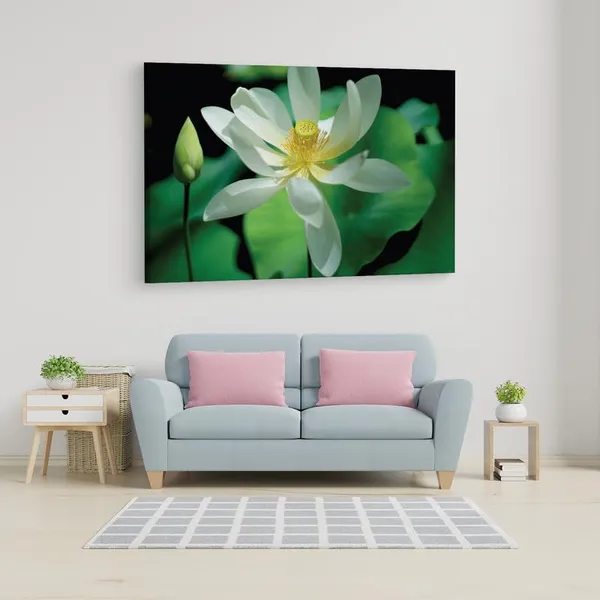 Multicolor_16_X_24_Inch,_Pine_Wood_Framed_Canvas_Paintings_|_For_Home_Decor,_Ready_To_Wall_Hanging,_Premium_Painting_|_For_|_Bedroom,_Living_Room,_Office_Wall_Decoration_|_Wall_Art_Painting,_Ct1897