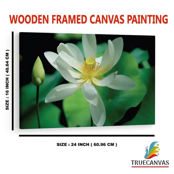 Multicolor_16_X_24_Inch,_Pine_Wood_Framed_Canvas_Paintings_|_For_Home_Decor,_Ready_To_Wall_Hanging,_Premium_Painting_|_For_|_Bedroom,_Living_Room,_Office_Wall_Decoration_|_Wall_Art_Painting,_Ct1897