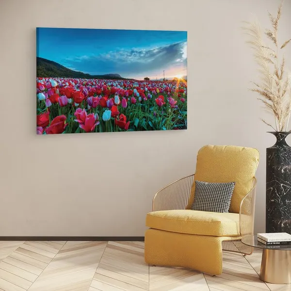Multicolor_16_X_24_Inch,_Pine_Wood_Framed_Canvas_Paintings_|_For_Home_Decor,_Ready_To_Wall_Hanging,_Premium_Painting_|_For_|_Bedroom,_Living_Room,_Office_Wall_Decoration_|_Wall_Art_Painting,_Ct1901