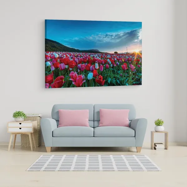 Multicolor_16_X_24_Inch,_Pine_Wood_Framed_Canvas_Paintings_|_For_Home_Decor,_Ready_To_Wall_Hanging,_Premium_Painting_|_For_|_Bedroom,_Living_Room,_Office_Wall_Decoration_|_Wall_Art_Painting,_Ct1901