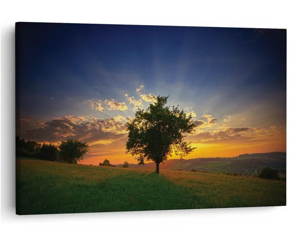 Multicolor_16_X_24_Inch,_Pine_Wood_Framed_Canvas_Paintings_|_For_Home_Decor,_Ready_To_Wall_Hanging,_Premium_Painting_|_For_|_Bedroom,_Living_Room,_Office_Wall_Decoration_|_Wall_Art_Painting,_Ct1902