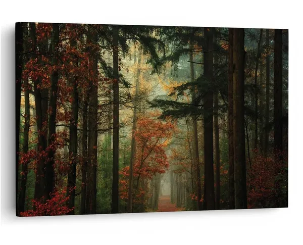 Multicolor_16_X_24_Inch,_Pine_Wood_Framed_Canvas_Paintings_|_For_Home_Decor,_Ready_To_Wall_Hanging,_Premium_Painting_|_For_|_Bedroom,_Living_Room,_Office_Wall_Decoration_|_Wall_Art_Painting,_Ct1907