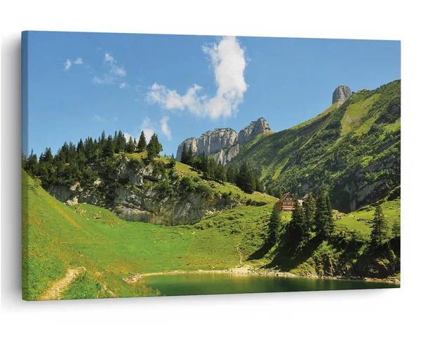 Multicolor_16_X_24_Inch,_Pine_Wood_Framed_Canvas_Paintings_|_For_Home_Decor,_Ready_To_Wall_Hanging,_Premium_Painting_|_For_|_Bedroom,_Living_Room,_Office_Wall_Decoration_|_Wall_Art_Painting,_Ct1910