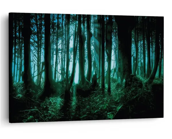 Multicolor_16_X_24_Inch,_Pine_Wood_Framed_Canvas_Paintings_|_For_Home_Decor,_Ready_To_Wall_Hanging,_Premium_Painting_|_For_|_Bedroom,_Living_Room,_Office_Wall_Decoration_|_Wall_Art_Painting,_Ct1911