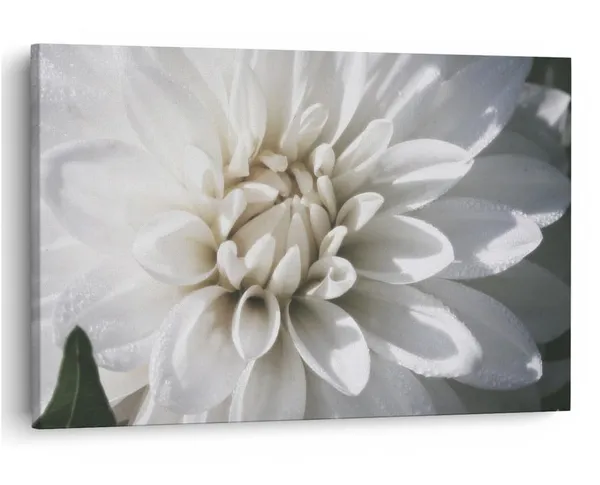 Multicolor_16_X_24_Inch,_Pine_Wood_Framed_Canvas_Paintings_|_For_Home_Decor,_Ready_To_Wall_Hanging,_Premium_Painting_|_For_|_Bedroom,_Living_Room,_Office_Wall_Decoration_|_Wall_Art_Painting,_Ct1916