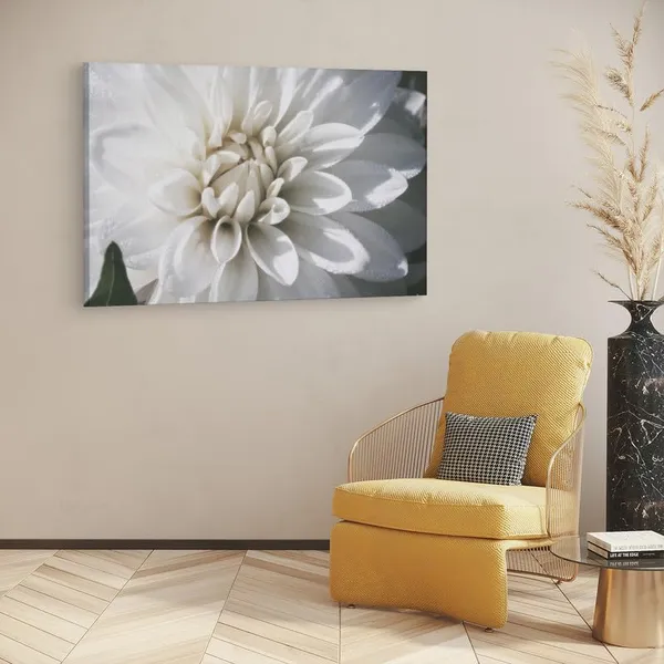 Multicolor_16_X_24_Inch,_Pine_Wood_Framed_Canvas_Paintings_|_For_Home_Decor,_Ready_To_Wall_Hanging,_Premium_Painting_|_For_|_Bedroom,_Living_Room,_Office_Wall_Decoration_|_Wall_Art_Painting,_Ct1916