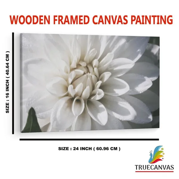 Multicolor_16_X_24_Inch,_Pine_Wood_Framed_Canvas_Paintings_|_For_Home_Decor,_Ready_To_Wall_Hanging,_Premium_Painting_|_For_|_Bedroom,_Living_Room,_Office_Wall_Decoration_|_Wall_Art_Painting,_Ct1916