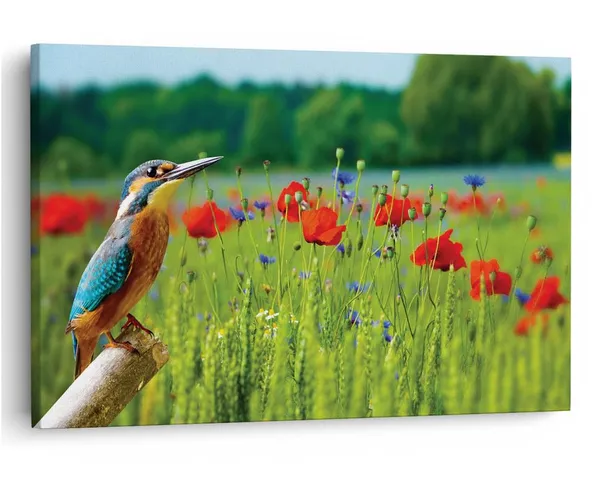 Multicolor_16_X_24_Inch,_Pine_Wood_Framed_Canvas_Paintings_|_For_Home_Decor,_Ready_To_Wall_Hanging,_Premium_Painting_|_For_|_Bedroom,_Living_Room,_Office_Wall_Decoration_|_Wall_Art_Painting,_Ct1917