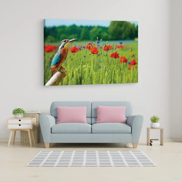 Multicolor_16_X_24_Inch,_Pine_Wood_Framed_Canvas_Paintings_|_For_Home_Decor,_Ready_To_Wall_Hanging,_Premium_Painting_|_For_|_Bedroom,_Living_Room,_Office_Wall_Decoration_|_Wall_Art_Painting,_Ct1917