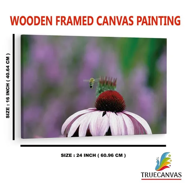 Multicolor_16_X_24_Inch,_Pine_Wood_Framed_Canvas_Paintings_|_For_Home_Decor,_Ready_To_Wall_Hanging,_Premium_Painting_|_For_|_Bedroom,_Living_Room,_Office_Wall_Decoration_|_Wall_Art_Painting,_Ct1919
