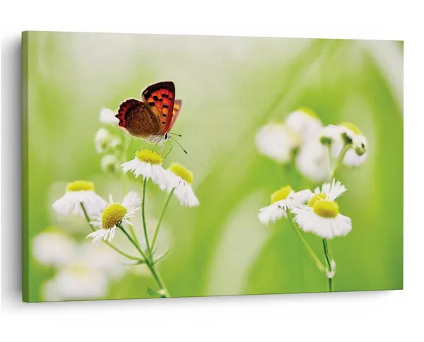 Multicolor_16_X_24_Inch,_Pine_Wood_Framed_Canvas_Paintings_|_For_Home_Decor,_Ready_To_Wall_Hanging,_Premium_Painting_|_For_|_Bedroom,_Living_Room,_Office_Wall_Decoration_|_Wall_Art_Painting,_Ct1921