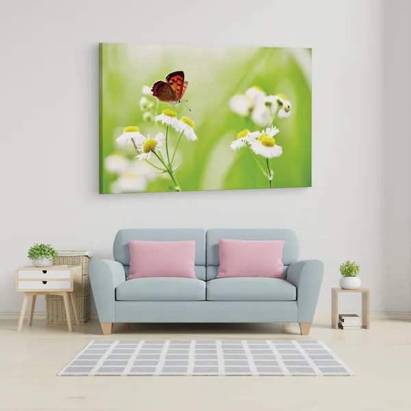 Multicolor_16_X_24_Inch,_Pine_Wood_Framed_Canvas_Paintings_|_For_Home_Decor,_Ready_To_Wall_Hanging,_Premium_Painting_|_For_|_Bedroom,_Living_Room,_Office_Wall_Decoration_|_Wall_Art_Painting,_Ct1921