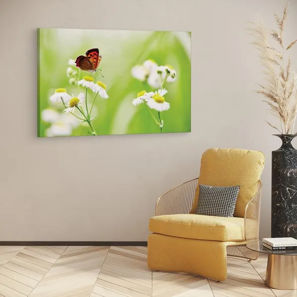 Multicolor_16_X_24_Inch,_Pine_Wood_Framed_Canvas_Paintings_|_For_Home_Decor,_Ready_To_Wall_Hanging,_Premium_Painting_|_For_|_Bedroom,_Living_Room,_Office_Wall_Decoration_|_Wall_Art_Painting,_Ct1921