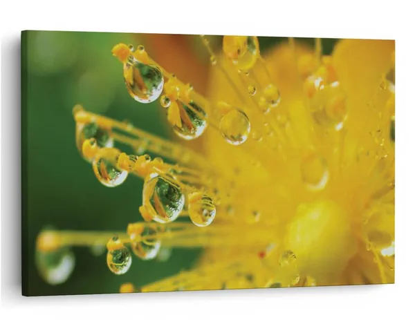 Multicolor_16_X_24_Inch,_Pine_Wood_Framed_Canvas_Paintings_|_For_Home_Decor,_Ready_To_Wall_Hanging,_Premium_Painting_|_For_|_Bedroom,_Living_Room,_Office_Wall_Decoration_|_Wall_Art_Painting,_Ct1922