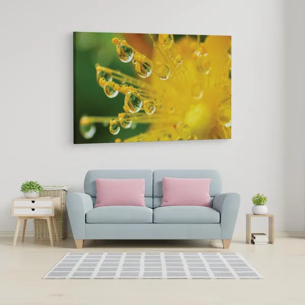 Multicolor_16_X_24_Inch,_Pine_Wood_Framed_Canvas_Paintings_|_For_Home_Decor,_Ready_To_Wall_Hanging,_Premium_Painting_|_For_|_Bedroom,_Living_Room,_Office_Wall_Decoration_|_Wall_Art_Painting,_Ct1922
