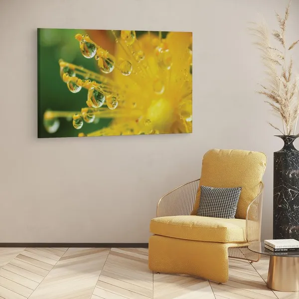 Multicolor_16_X_24_Inch,_Pine_Wood_Framed_Canvas_Paintings_|_For_Home_Decor,_Ready_To_Wall_Hanging,_Premium_Painting_|_For_|_Bedroom,_Living_Room,_Office_Wall_Decoration_|_Wall_Art_Painting,_Ct1922