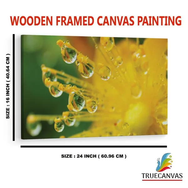 Multicolor_16_X_24_Inch,_Pine_Wood_Framed_Canvas_Paintings_|_For_Home_Decor,_Ready_To_Wall_Hanging,_Premium_Painting_|_For_|_Bedroom,_Living_Room,_Office_Wall_Decoration_|_Wall_Art_Painting,_Ct1922