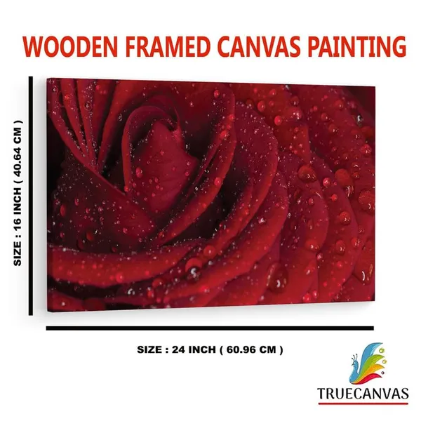 Multicolor_16_X_24_Inch,_Pine_Wood_Framed_Canvas_Paintings_|_For_Home_Decor,_Ready_To_Wall_Hanging,_Premium_Painting_|_For_|_Bedroom,_Living_Room,_Office_Wall_Decoration_|_Wall_Art_Painting,_Ct1923