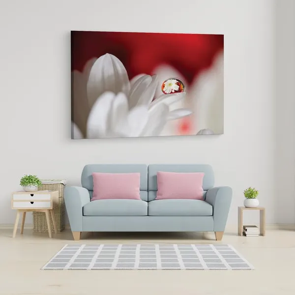 Multicolor_16_X_24_Inch,_Pine_Wood_Framed_Canvas_Paintings_|_For_Home_Decor,_Ready_To_Wall_Hanging,_Premium_Painting_|_For_|_Bedroom,_Living_Room,_Office_Wall_Decoration_|_Wall_Art_Painting,_Ct1924