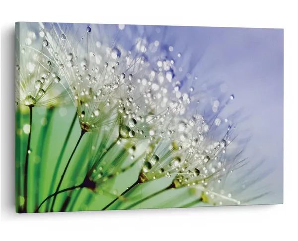 Multicolor_16_X_24_Inch,_Pine_Wood_Framed_Canvas_Paintings_|_For_Home_Decor,_Ready_To_Wall_Hanging,_Premium_Painting_|_For_|_Bedroom,_Living_Room,_Office_Wall_Decoration_|_Wall_Art_Painting,_Ct1925