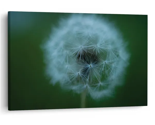 Multicolor_16_X_24_Inch,_Pine_Wood_Framed_Canvas_Paintings_|_For_Home_Decor,_Ready_To_Wall_Hanging,_Premium_Painting_|_For_|_Bedroom,_Living_Room,_Office_Wall_Decoration_|_Wall_Art_Painting,_Ct1926
