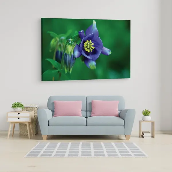 Multicolor_16_X_24_Inch,_Pine_Wood_Framed_Canvas_Paintings_|_For_Home_Decor,_Ready_To_Wall_Hanging,_Premium_Painting_|_For_|_Bedroom,_Living_Room,_Office_Wall_Decoration_|_Wall_Art_Painting,_Ct1927