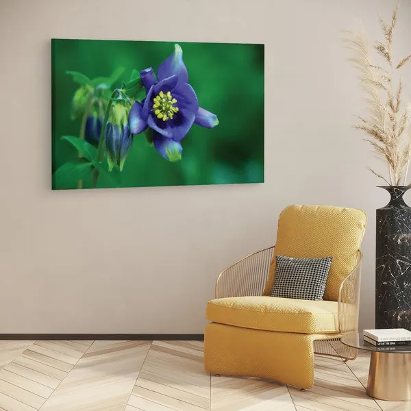 Multicolor_16_X_24_Inch,_Pine_Wood_Framed_Canvas_Paintings_|_For_Home_Decor,_Ready_To_Wall_Hanging,_Premium_Painting_|_For_|_Bedroom,_Living_Room,_Office_Wall_Decoration_|_Wall_Art_Painting,_Ct1927